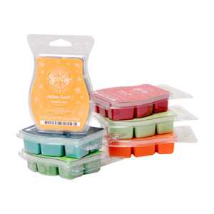 ScentsyBars_MP-6PK